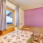 Viola